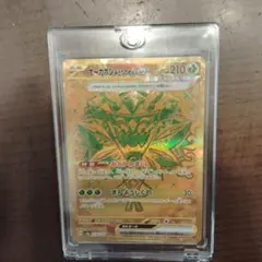 り*け様 オーガポンEX 210HP ポケモンカード