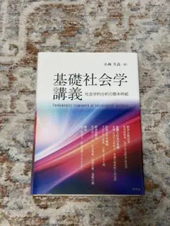 基礎社会学講義 : 社会学的分析の基本枠組