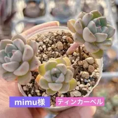 mimu様 リクエスト 2点 まとめ商品