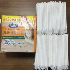 Item thumbnail for item b163b0ea-f3ae-49c7-a9ac-80ee87e08b8e