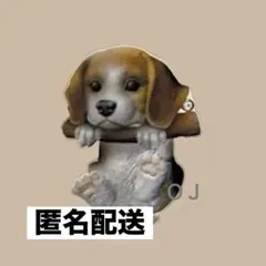 ぶらりーず　第4弾　ガチャ　ビーグル　１点
