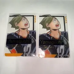 ハイキュー ファンパーク 箔押しクリアカード 山口