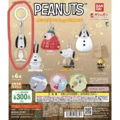 【美品】PEANUTS めじるしアクセサリー
