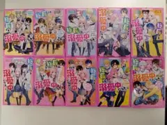 総長さま、溺愛中につき。 1〜10巻セット