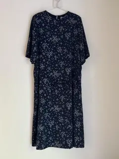 Item thumbnail for item 69d1fc0b-e5ee-4808-9c39-623045d57227