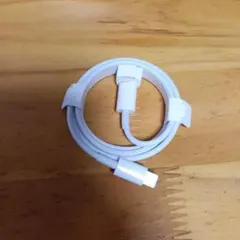 iPhone付属品 充電器 純正 タイプCライトニングケーブル Apple正規品