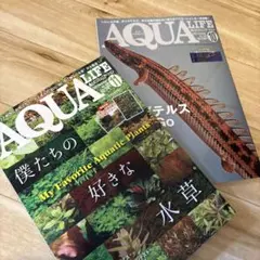 【２冊セット】AQUA LIFE 2025年 10月号　11月号