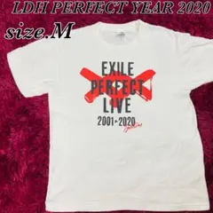 LDH PERFECT YEAR 2020　サイズM　ホワイト　LIVEシャツ