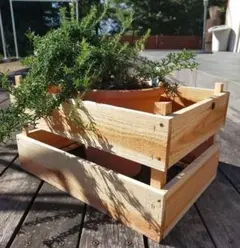 ナチュラルウッドケース