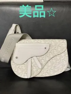 美品⭐︎クリスチャンディオール　オブリーク ショルダー　ボディバッグ　トロッター