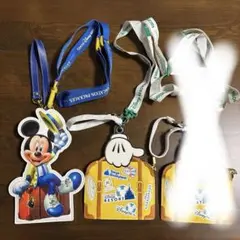 ディズニーバケーションパッケージ パスケース2個セット