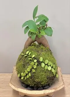 suzuran様 リクエスト 2点 まとめ商品