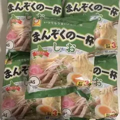 マルちゃん インスタントラーメン まんぞくの一杯 5食セット 塩 しお
