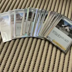 シバ　sGG 30枚セット　1