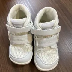 Item thumbnail for item 55ec8526-eb0a-4b16-97b9-e5557775d5ee