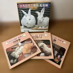 Item thumbnail for item a20aa6e4-8f8d-4f13-937f-729cc12daf65