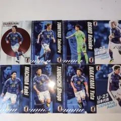 サッカー日本代表　ポテトチップスカード　8枚セット