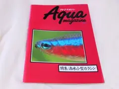 熱帯魚 南米小型 カラシン 特集 アクアマガジン 第6号 フェア・ウインド発行