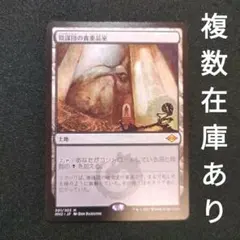 2026年最新】陰謀団の貴重品室の人気アイテム - メルカリ