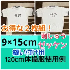 Item thumbnail for item 9c4ff9f4-6b16-4881-ab93-9de01716ab05