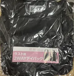 櫻坂 櫻坂46 ローソン くじ 一番くじ ラストワン賞 2WAYデイパック