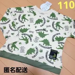 110　恐竜　トレーナー