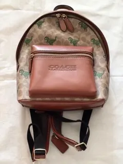 COACH リュック レキシーコラボ - メルカリ
