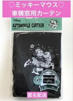 【新品】車用 横窓カーテン 約45×65㎝ 1枚入 取り付け簡単！匿名配送のサムネイル