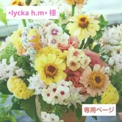 ⋆lycka h.m⋆様 リクエスト 2点 まとめ商品