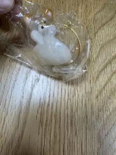 うちの子のけだまだま　犬　柴犬