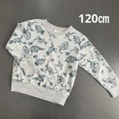 西松屋　男の子　120㎝ 裏毛　きょうりゅう総柄トレーナー