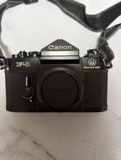 Item thumbnail for item 252ab3f4-cbd9-409a-ae16-e5a00c9ffefb