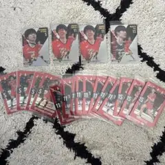 日本代表男子バレーボール ツインウエハース アウトサイドヒッター まとめ売り
