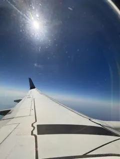 専用