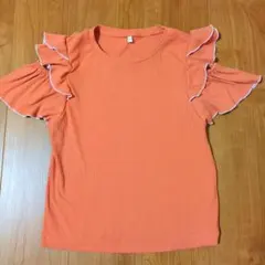 Item thumbnail for item f7951967-4b39-410d-bd85-de7ad62dc5fd