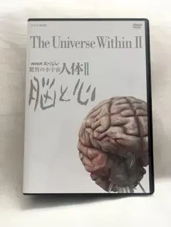 Item thumbnail for item 6cb39507-63a6-4750-aa1d-efcaea30b30c