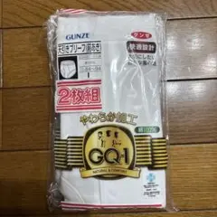 【新品未使用】GUNZE 前あきブリーフ 2枚組