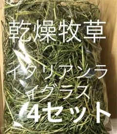 Item thumbnail for item 92b81d23-50e0-4a8d-8ff0-8eb1c25eace0