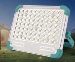 Item thumbnail for item 34eac502-e371-4d06-aa3e-2542efb6a708