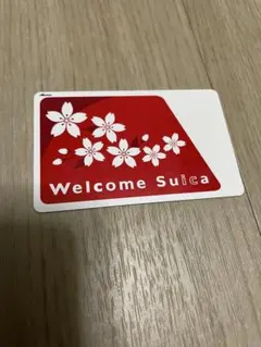 웰컴 스이카 벚꽃 디자인 IC 카드