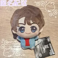 BTS TinyTAN DNA ちびぐるみ vol.2 グク ジョングク