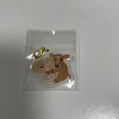 オハヨー乳業　OHAYO　ジャージー牛乳プリン　オリジナルチャーム