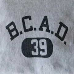 80's チャンピオン リバースウィーブ トリコタグ 染み込み カプセル