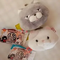 Item thumbnail for item a1947a94-b70e-485d-9091-cce051cdc746