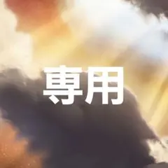 専用出品