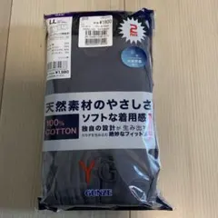 Item thumbnail for item 8ffb7fc5-f03c-4edc-882c-701d2f39ae3a