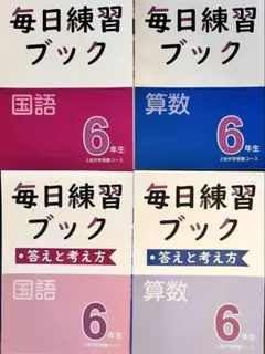 美品‼️即発送✨Z会 小学生コースハイレベル 小学四年生10〜3月号 未