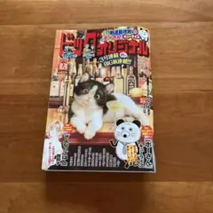 ビッグコミックオリジナル