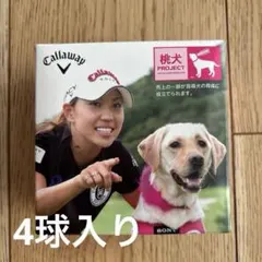 Callaway ゴルフボール 4個セット 桃犬PROJECT ホワイト