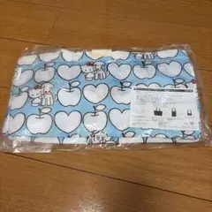 ［新品未使用］WAON✖️ハローキティ限定　レジカゴバック　ブルー　非売品